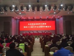 重庆科协系统召开专题会 学习贯彻党的十八届六中全会精神