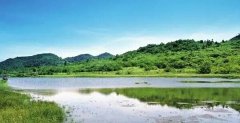 每2年一次 重庆将对各区县开展集中环保督察