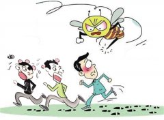 重庆三男子想吃免费蜂蜜  偷蜂箱被蜜蜂狂蜇