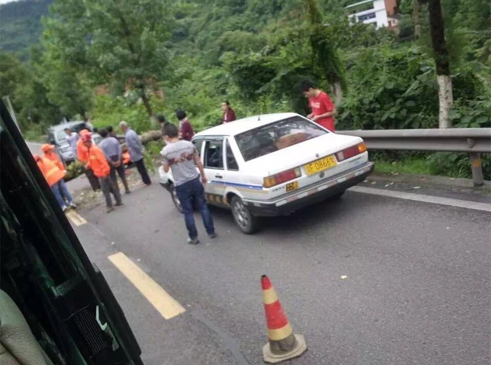  重庆一教练车被公路边突然倒下的大树砸坏