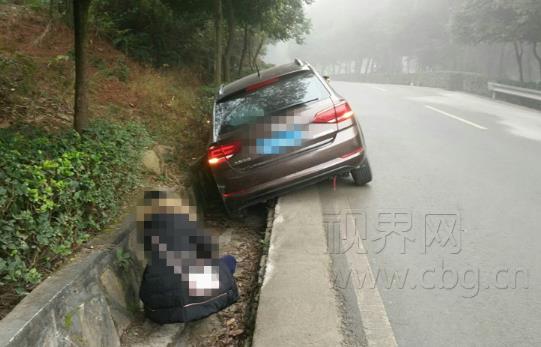 丈夫开车还指挥妻子玩手游  结果车开沟里了