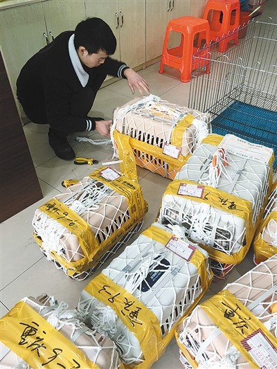 小狗买回家四天就死亡 这家店疑似售卖“星期狗”