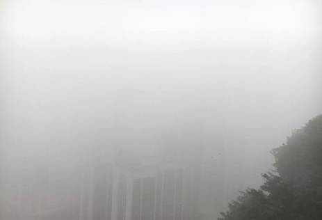 浓雾把万州变为迷城  你能认出来这是哪儿吗？