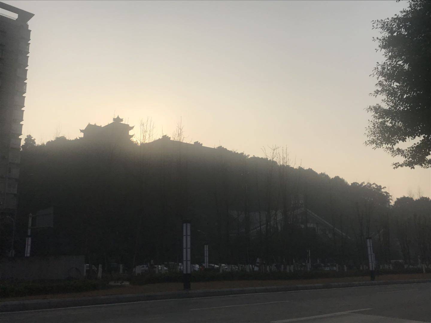 阳光正好  是时候开启拍照模式了！