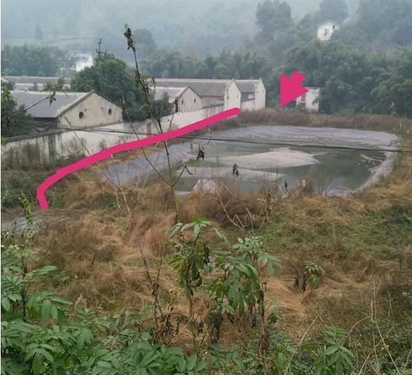 杂草丛中藏粪坑4人遇险 重庆一教练机智施救