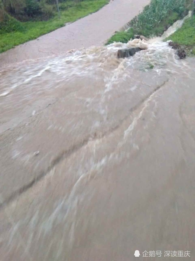 4岁男童被洪水冲走500米后奇迹生还