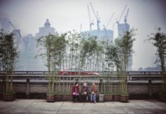 周末是个好天气 最高温超20℃