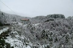 气温大跳水！未来三天最低温或低至零下