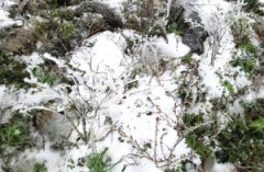 本周末天气转晴 最高温升至16℃