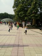 今天太阳晒舒服了吗？明天阳光继续主城最高16℃