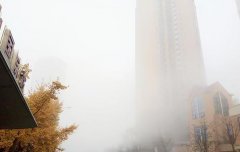 ​重庆​发布“大雾橙色预警信号” 18区县现浓雾