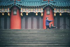 我市多数地区已入冬 比往年早5-12天