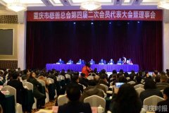 重庆慈善总会增选艾扬为驻会副会长