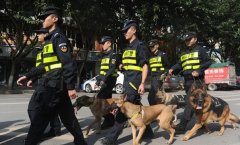 平安建设进行时：专职巡逻队为平安彭水保驾护航