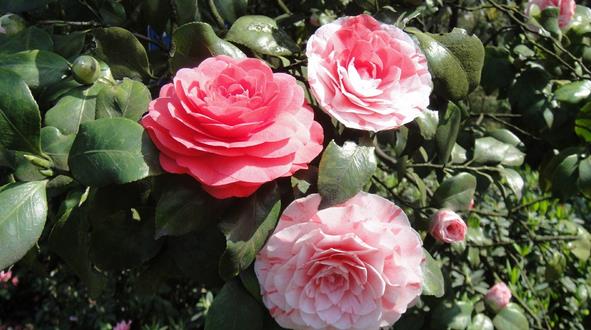 1481602884565658.jpg 1481602884565658.jpg