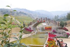 周末去哪儿？来渝北吧 新建成8个乡村旅游基地等你来耍