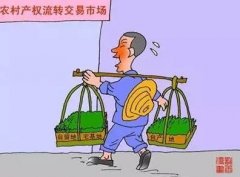 在国家的这块“试验田”上，重庆今年有哪些大手笔？