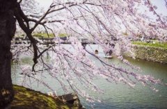 重庆未来三天都是阴雨天 最低气温5℃