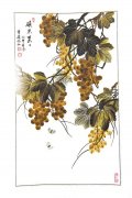 惊艳！画国画不用笔墨 她用的全是各种羽毛