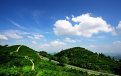 清明重庆这些景区人气旺请错峰