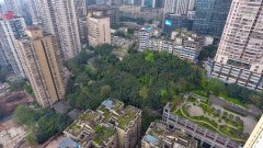 渝中区人民公园即将改造升级，打造一轴一带七个景观点