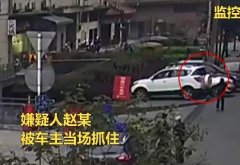 男子找工作被拒 乱砸别人车窗泄愤