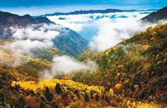 重庆绝美的冷门景点 周末不再拥挤