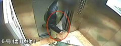 囧！逃犯报警称自己被打成脑震荡