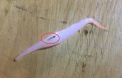 重庆一女子吃凉虾吃到虫 老板：煮糊了没事