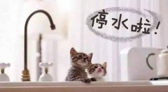 多接点水存粮食！重庆北碚这几个地方要停气停水了哦！