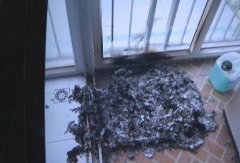 楼上邻居爱扔烟头 楼下女住户阳台失了火
