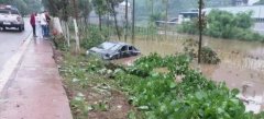 轿车雨天玩“漂移” 撞断路边小树后一头扎进水里