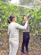 90后夫妻放弃年入十多万生意 回乡当村官