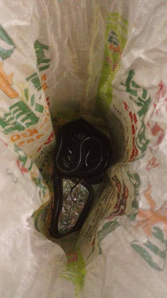 女子外出散步捡到蛇皮袋子 打开一看竟有两条蛇