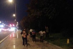 路边李子常被摘 重庆一市民：请爱护景观植物