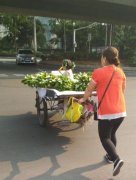 板车上的小女孩让无数网友泪奔