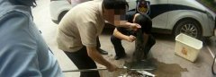 禁渔期未结束 一天竟查处三起非法捕捞