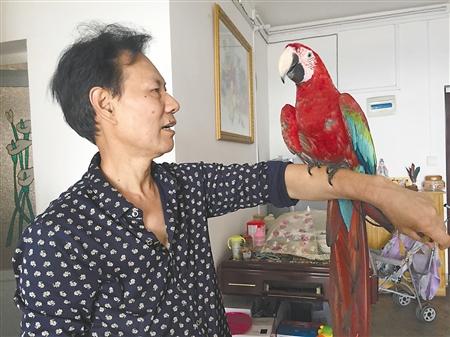 天上掉下个“林妹妹” 谁家的？快来认领