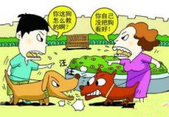 重庆一小区两只狗咬起来了  结果狗主人也打了起来