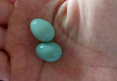 重庆一女子深山里发现玲珑蛋 蓝色剔透十分好看