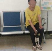 小伙子搭乘公交遭狗咬 狗主人说他“扭到费”