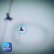 高压线缠住猫头鹰  高温下被困两小时