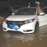 200多辆车“泡汤”了