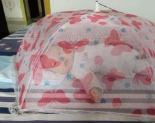  脑洞大开！“虎妈”用防尘碗罩避免宝宝蚊虫叮咬