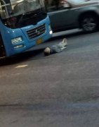 重庆现最“赖”碰瓷 碰瓷不成还死缠烂打