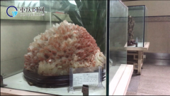 重庆一轻轨站变身奇石博物馆 乘客：眼前一亮