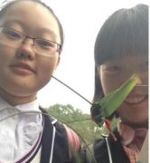 重庆高考文科第一名刘之铭：曾是大渡口中考第一名