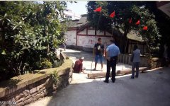 六旬亲兄弟打架 双双打伤进医院