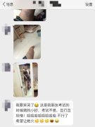 “长腿小抄”十分吸睛 网友纷纷围观双击“666”
