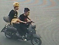 四个男孩没钱买狗  夜闯宠物店顺走六只